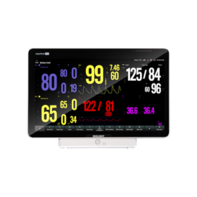 Moniteur P22